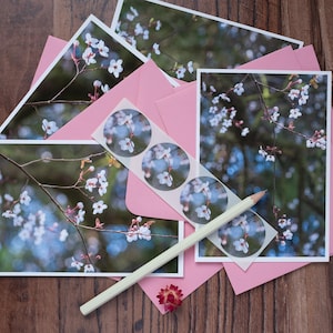 Ensemble de feuilles de fleurs de cerisier printanières avec autocollants, 4 notes de style carte postale et enveloppes, photographies d'art originales d'influence japonaise
