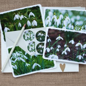 Handmade Snowdrop Luxury Notelets Set – Spring Postcard Notelets with Matching Sticker Seals