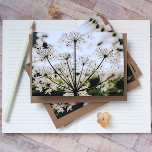 Biglietti di auguri con fiori di campo, vuoti all'interno con poesia sulla natura sul retro, idea regalo ecologica per gli amanti della natura, bigliettini e buste botanici