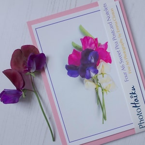 Lot de 4 carnets de style carte postale et enveloppes roses, lot de carnets de notes fleurs, carnets de notes floraux originaux pour photographie d'art