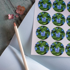 Stickers Forget me not, Stickers floraux bleus biodégradables écologiques imprimés avec des encres végétaliennes, accessoires de journaux, scrapbooking, autocollants d'agenda