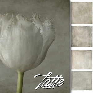 Puede incluir: Primer plano de un tulipán blanco con bordes deshilachados, sobre un fondo gris apagado. La palabra "Latte" está escrita en cursiva. Una colección de papeles digitales texturizados en tonos neutros está a la derecha.