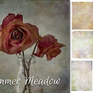 JJP Summer Meadow - 6 superpositions de textures Photoshop aquarelle beaux-arts. Fond de portrait. Téléchargement numérique.