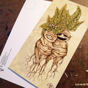 MANDRAGORAS - carte postale - illustration à l'aquarelle - couple de mandragores mignonnes plantes racines ingrédients potion magique