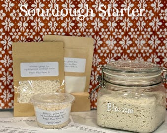 Live Gluten-Free Sourdough Starter: Celiac Safe, Wheat Free, Organic Brown Rice Culture