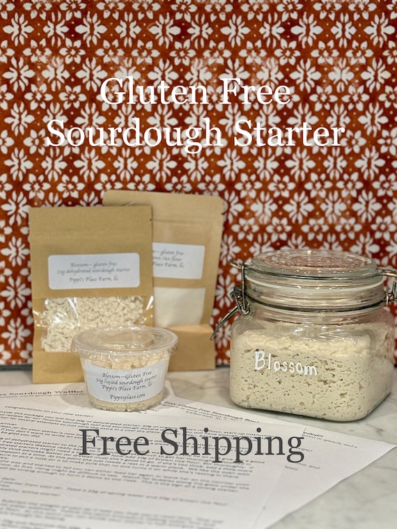 Live Gluten-Free Sourdough Starter: Celiac Safe, Wheat Free, Organic Brown Rice Culture