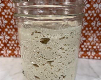 Dehydrated Organic Gluten-Free Sourdough Starter: Includes Instructions & Recipes