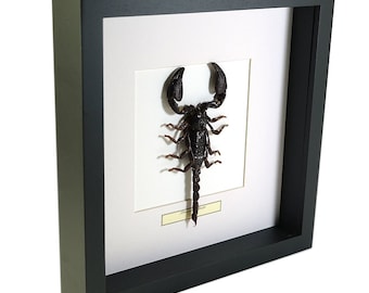 現在、この商品の在庫はありません - Etsy