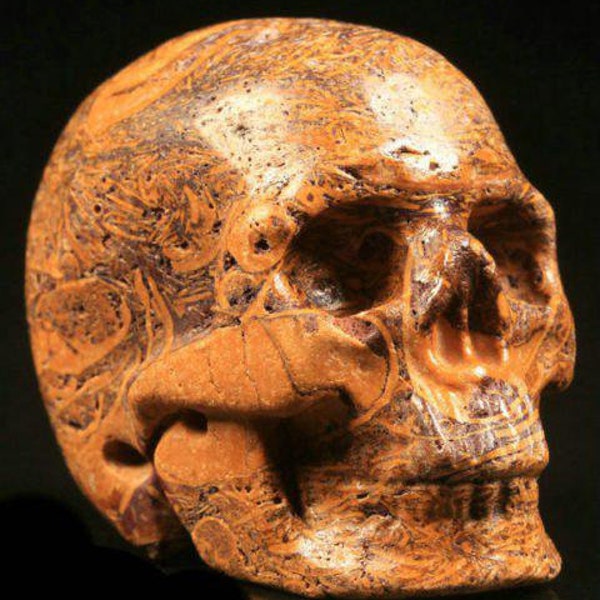 Memento Mori Skull Carving | Elephant Skin Jasper Crystal Gemstone | Healing Pendant | Paper Weight