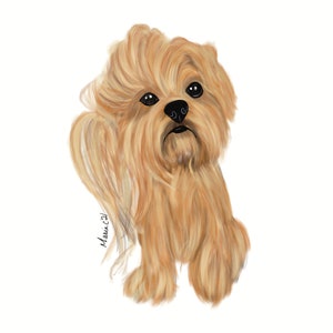 Unique Yorkshire Terrier Illustration Gift Idea, Personalized Art Draw of Dog, Custom Hand-Drawn Animal Digital Painting from Your Photo