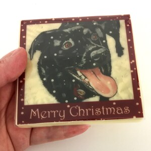 Chocolate Card Berri in the Snow image 6