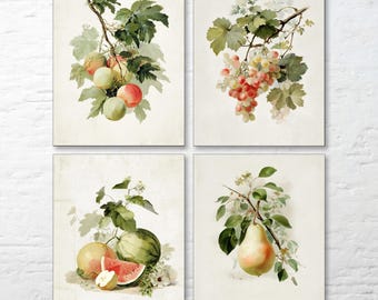 Könnte beinhalten: Set mit vier Obst-Kunstdrucken im Vintage-Stil. Jeder Druck zeigt eine andere Frucht: Äpfel, Trauben, Wassermelone und eine Birne. Die Illustrationen sind im Aquarellstil mit neutralem Hintergrund und detaillierten botanischen Elementen.