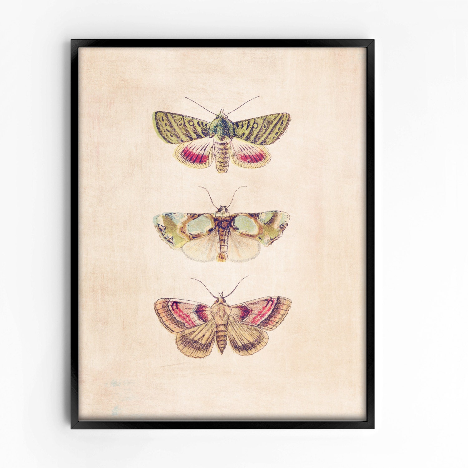 Vintage Wall Art Printable, Art Print, Wall Decor, Home Decor, Nursery ...