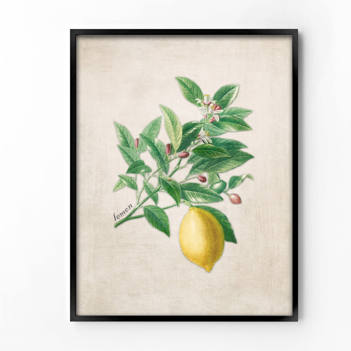 Vintage Wall Art Printable Art Print Wall Decor Home Decor Etsy Denmark