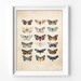Vintage Wall Art Printable Art Print Wall Decor Home Decor - Etsy