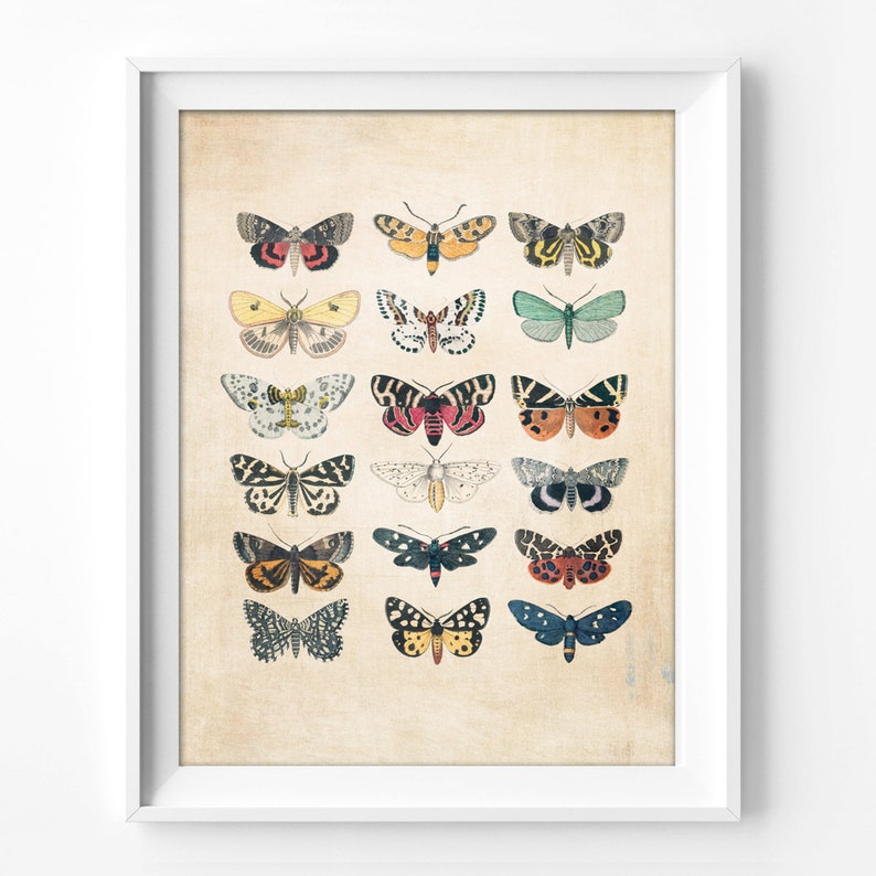 Vintage Wall Art Printable Art Print Wall Decor Home Decor - Etsy
