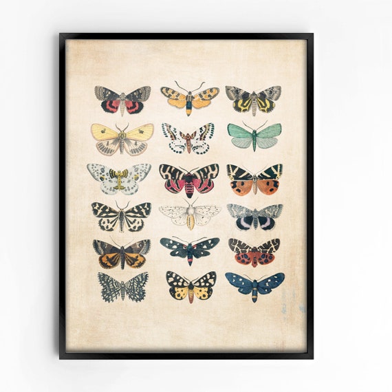 Vintage Wall Art Printable Art Print Wall Decor Home Decor Etsy