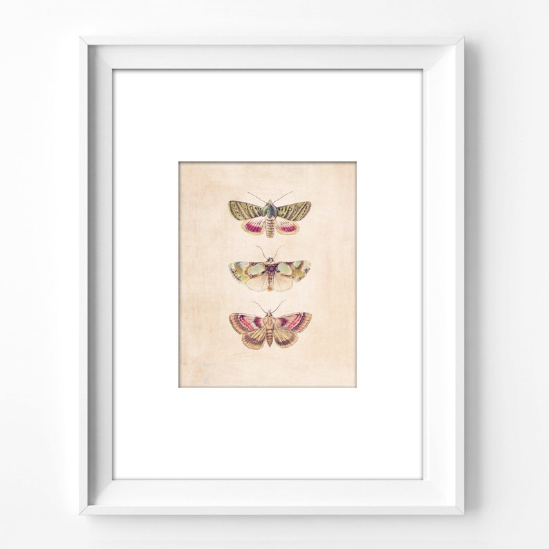 Vintage Wall Art Printable, Art Print, Wall Decor, Home Decor, Nursery ...