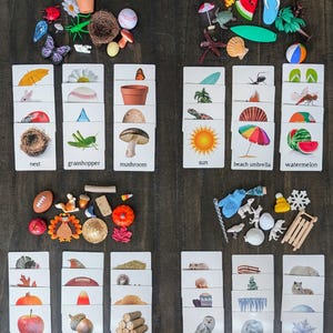 May include: A set of flashcards with pictures of various objects and their corresponding names. The cards are arranged in rows and columns on a wooden surface. The objects include a nest, grasshopper, mushroom, sun, beach umbrella, watermelon, apple, acorn, firewood, snowy owl, snowball, and snowflake.