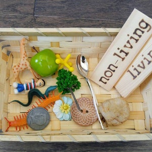 Living/Non-Living Sorting Set, Montessori Object Classification, Gift for Kids, Reggio Emilia, Teacher Resources