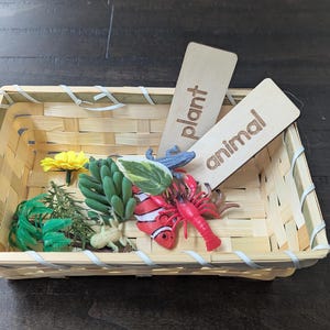 Peut inclure: Un panier en osier rempli de jouets représentant des plantes et des animaux. Le panier comporte deux pancartes en bois, l'une indiquant "plante" et l'autre "animal".