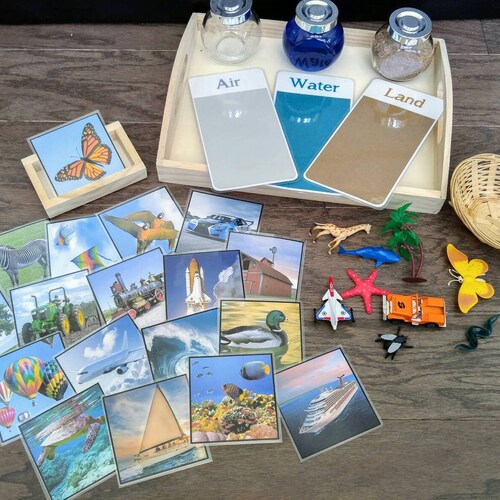 Land/air/water Activity Kit Object Matching Gift for Kids | Etsy