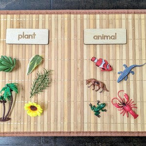 Plant/animal Sorting Set, Montessori Object Classification, Gift for ...