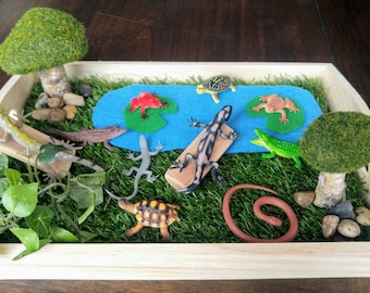 Puede incluir: Una bandeja de madera con hierba verde y un estanque azul. Hay animales de juguete, incluyendo una rana, una tortuga, un lagarto, una serpiente y un caimán. La bandeja es perfecta para juegos imaginativos.
