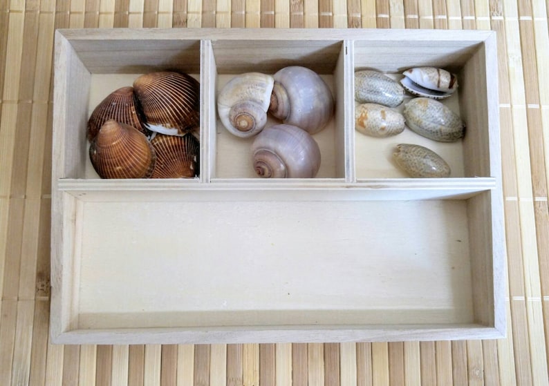 Shell Sorting