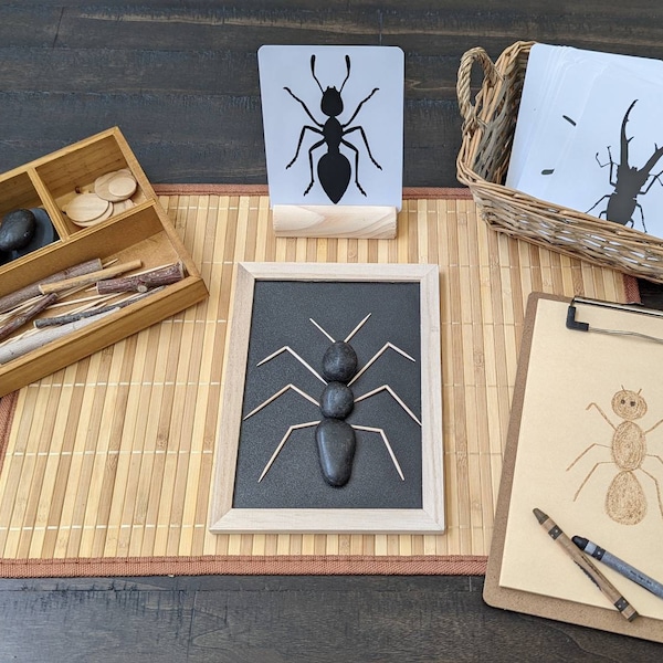 Loose Parts Insect/Bug Exploration, Build a Bug, Fine Motor Skills, Gift for Kids, Montessori Classroom, Reggio Emilia, Teacher Resources