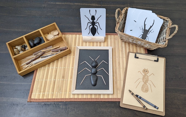 Loose Parts Insect/Bug Exploration, Build a Bug, Fine Motor Skills, Gift for Kids, Montessori Classroom, Reggio Emilia, Teacher Resources image 1