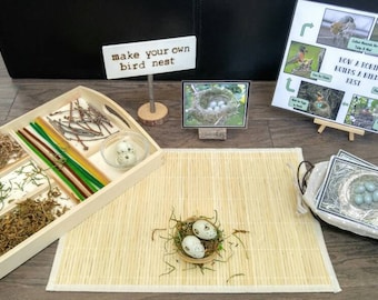 Bird Nest Building Kit: Montessori Fine Motor Activity