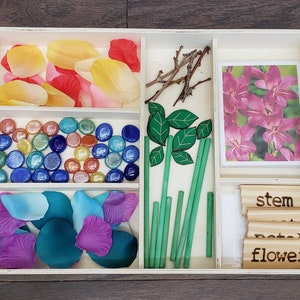 May include: A wooden tray with compartments containing various items for a flower craft activity. The items include: flower petals in pink, yellow, blue, and purple; green leaves and stems; glass gems in various colors; and wooden labels that say "stem", "petal", and "flower".