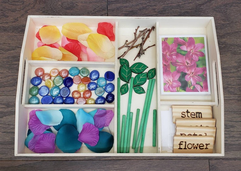 May include: A wooden tray with compartments containing various items for a flower craft activity. The items include: flower petals in pink, yellow, blue, and purple; green leaves and stems; glass gems in various colors; and wooden labels that say "stem", "petal", and "flower".