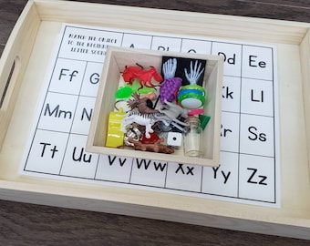 Montessori Letter Object Matching: Beginning Sounds Learning