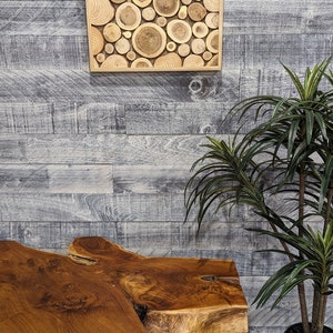 Wood Slice Artwork, Wall Hanging, Natural Wood Art