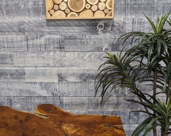 May include: A wooden wall art piece featuring a circular design of wood slices in various sizes and shades of brown. The art is hanging on a gray wood wall above a wooden coffee table with a natural edge and black hairpin legs. A potted green plant is on the right side of the image.