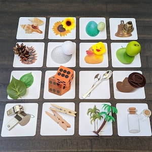 Picture Object Matching #1, Picture Recognition, Kids Gift, Montessori Classeoom, Reggio Emilia, Waldorf, Teacher Resources