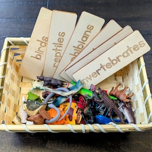 Sorteerset dierenclassificatie, montessori-objectclassificatie, cadeau voor kinderen, Reggio Emilia, bronnen voor docenten