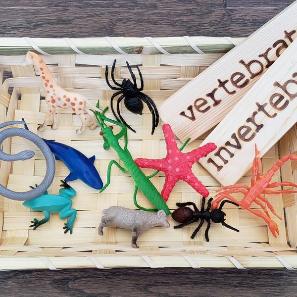 Vertebrate/Invertebrate Sorting Set, Montessori Object Classification, Gift for Kids, Reggio Emilia, Teacher Resources