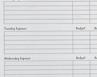 CLASSIC HP Weekly Budget Planner Printable - Financial Printable Tracker, Savings Printable, Financial Planner, Happy Planner pdf