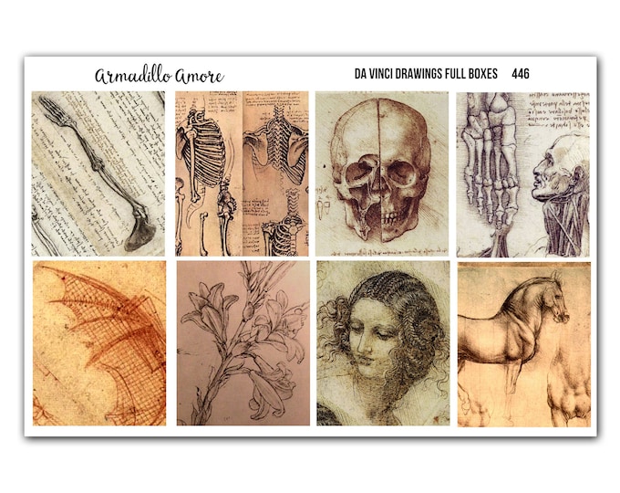 Leonardo Da Vinci Drawings - Fine Art Renaissance Illustration Full Box Stickers - 446