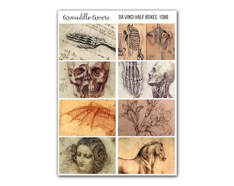 Leonardo Da Vinci Drawings - Fine Art Renaissance Illustration Half Box Stickers - 1086