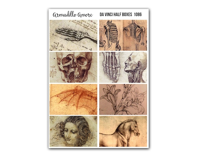 Leonardo Da Vinci Drawings - Fine Art Renaissance Illustration Half Box Stickers - 1086