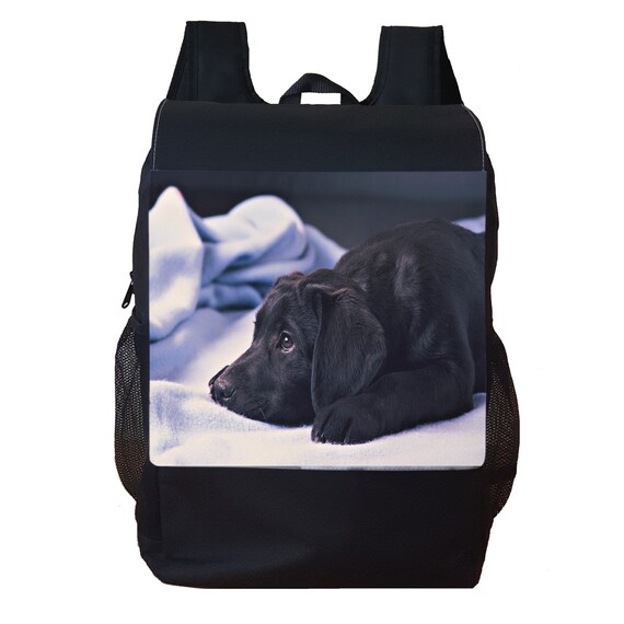 labrador backpack