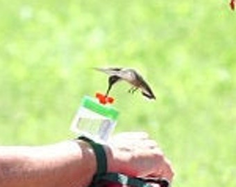 best gifts for hummingbird lovers