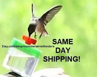 Original Hummingbird Wrist Feeder