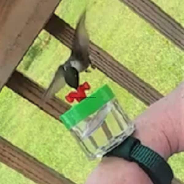 Original Hummingbird Wrist Feeder