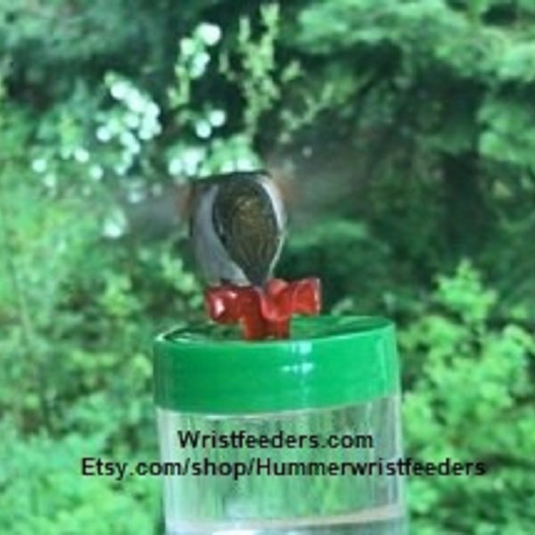 Hummingbird Wrist Feeder with red band