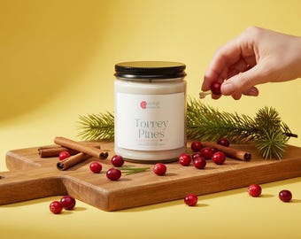 Torrey Pines Beach Candle, Cotton Wick Soy Wax, Naturally Scented, 9oz